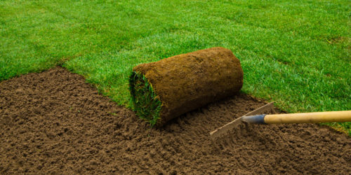 turf
